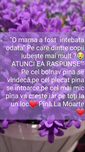 Vibrant Purple Flowers in a Serene Garden