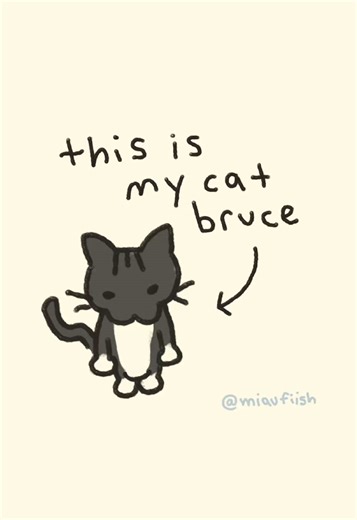 which video did you see first? cowboy or bruce? @miaufiish —— here is the bruce version! i love my kitty cats :3 make sure to follow my art account if you like cats and cute drawings :o) #tuxedocat #greycat