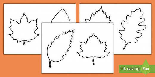 Blank Leaves Template