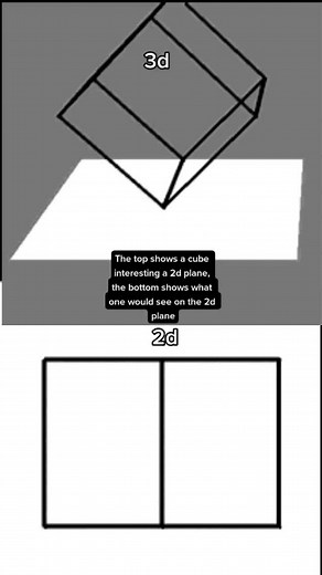 Differences Between 2D and 3D Shapes Explained