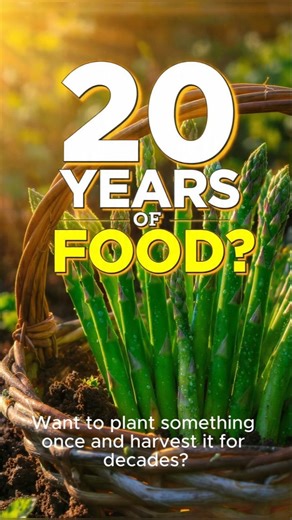 Plant It Once Eat For Decades