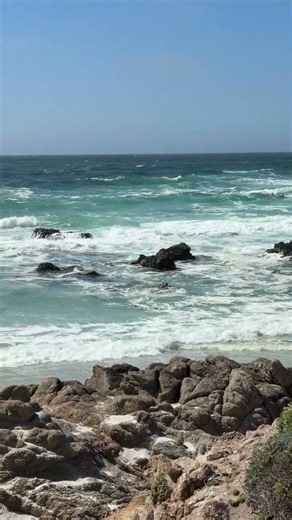 Visiting The Lone Cypress Overlook ⁠#LoneCypress⁠ ⁠#17MileDrive⁠⁠ ⁠#Monterey⁠ ⁠#TravelShorts⁠