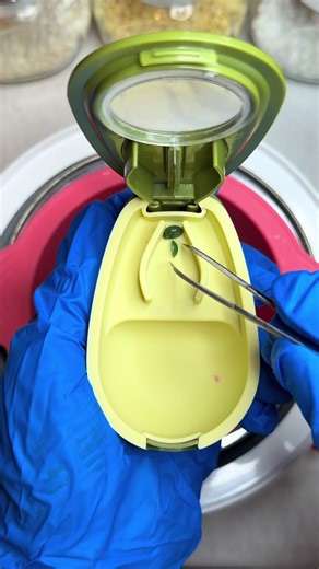 Can you guess the shape before the reveal? 👀✨ Watch the wax beads melt and reveal the final shape! 💜 #asmr #waxbeads #guessinggame #satisfyingvideo #fyp