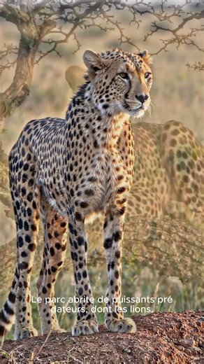 serengeti national park