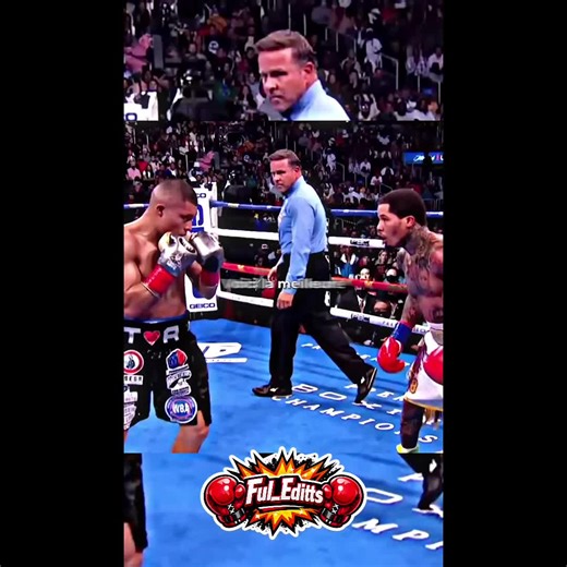 Gervonta Davis vs Cruz Boxing Match Highlights