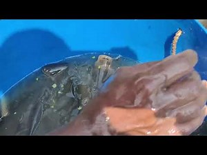 *DIY Fishing Gear: Build Your Own Huk and Rod*