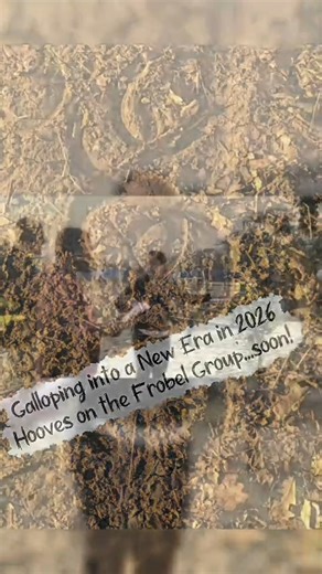 2.1K views · 34 reactions | The stable isn’t ready… but the...