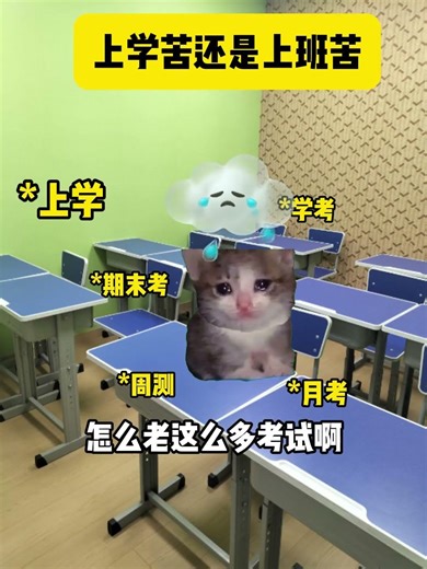 上学苦还是上班苦 #猫meme #上学 #上班 #内容过于真实