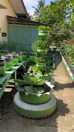 making a vertical garden on a used tire pot #berkebun #gardening