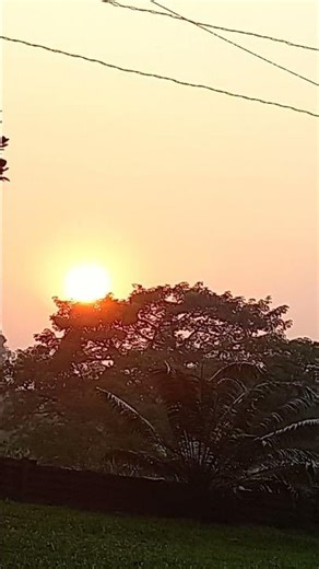 Beautiful scenery | #trendingshorts #viral #scenery #beauty #sunset #countryside #reels