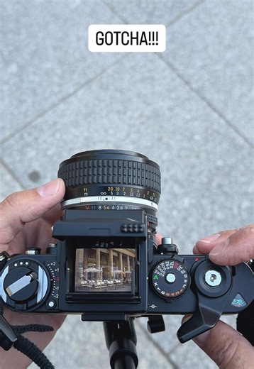 The patience of a predator. There is something magical about photographing on film. #parisbyfilm #35mm #nikonf3 Nikon F3, 50mm f/1.2 ai-s