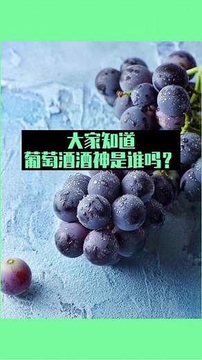 葡萄酒酒神：狄俄尼索斯，欢乐、慈爱、醉人的力量～#ballo生活博物馆 #葡萄酒 #生活美学 #美食vlog #西餐