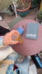 Dessiner sur les toits de Paris