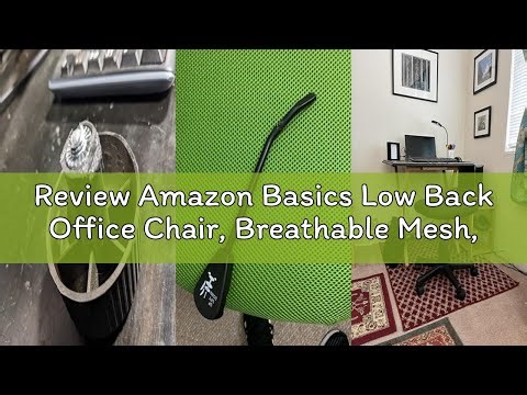 Review Amazon Basics Low Back Office Chair, Breathable Mesh, Height Adjustable, Padded Seat, Rolling