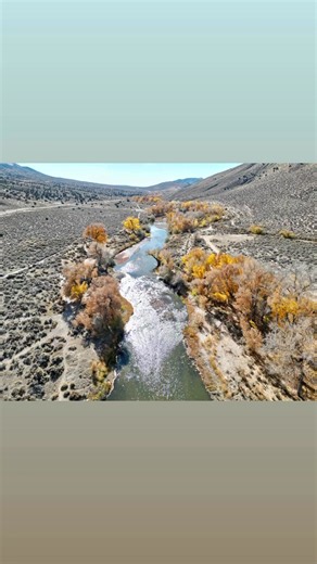 2.8K views · 191 reactions | Here are some more photos of my hike today at the Carson River Park in Carson City with gorgeous fall colors hanging on. A high wind warning is up for Wednesday with 50 to 60 mph winds possible that just might blow the remaining fall leaves away. So nice to be out here today! | Adventures With Jeff Martinez | Facebook
