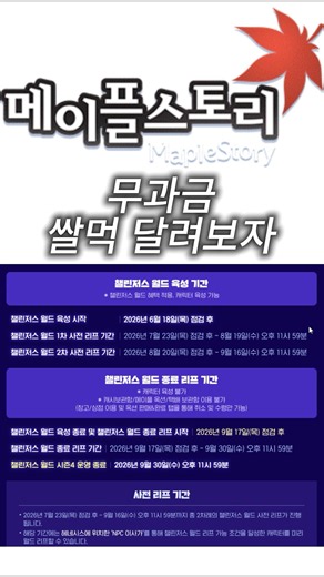 챌린저스 끝나고 메이플 접지마세요. 본섭 0원 260 루트 정리 #메이플스토리 #본섭 #쌀먹