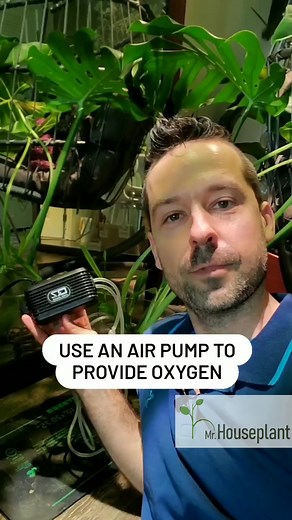 3.7K views · 35 reactions | How long does it take you to root snake...