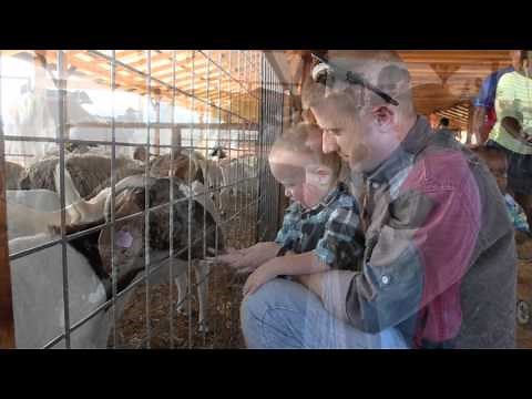 Petting Farm in Dallas Area - Preston Trail Farms