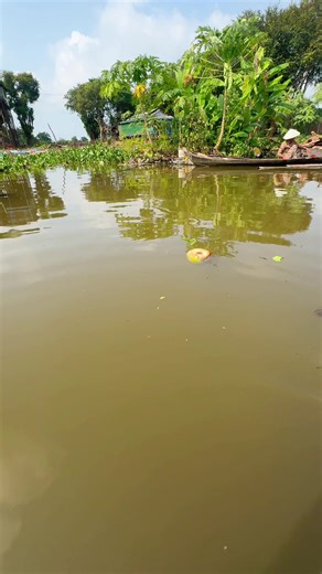 វីដេអូ​របស់ Sok yin (@sokyin09) ជាមួយ សំឡេងដើម - Hea Pan btb - ប៉ាន ជីវ៉ា៚Panjiva