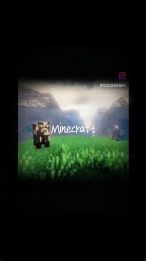 airplane mod ❌ Minecraft mod✅