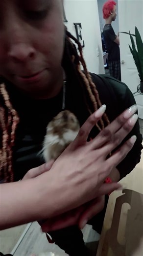 Welcoming Our New Pet: A Fun Journey