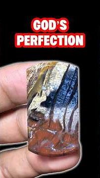 Cabochon Making Process | Petrified Wood #gemstone #cabochon #agate #preciousstones #gemstonejewelry