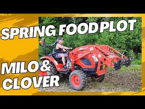 Spring Food Plots, Milo and Clover.