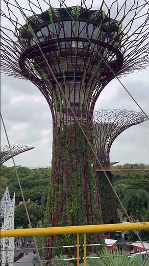 Iconic Supertrees Gardens by the bay in Singapore #singapore #gardensbythebay