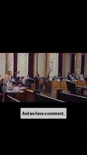 6.5K views · 225 reactions | Woman Demands LA City Council To Listen To Her About LAPD Assisting ICE. The Ignored Her And Laughed. | Progressive Power | Facebook