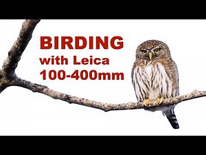 Birding with the Leica 100-400mm lens