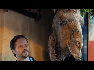 Marokkó 3: Fez és a LEVÁGOTT TEVEFEJ!