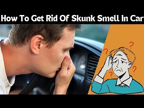Eliminate Bad Skunk Odor Your Car in Minutes! 4 Easy Steps
