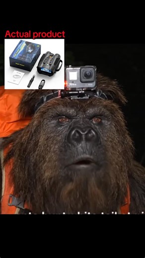 Bigfoot vlog. Hunting white tail at night is my favorite thing to do. #bigfootapproved #bigfootvlog | Bigfoot