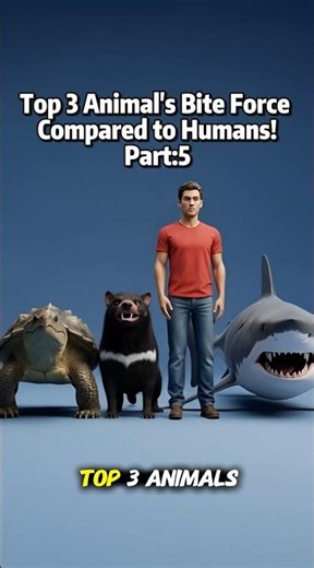 Turtle vs Devil vs Shark, Bite Force Comparison 💀 #shortsfeed #animalfacts #educationalvideo