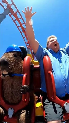 capy vs the roller coaster #capybara #funny