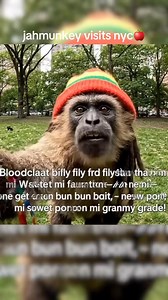 52K views · 1.6K reactions | Jahmunkey Survives New York City  #NYCVlog #OutdoorVlogger #Bushman #StreetSurvival #MonkeyVlog #Jahmunkey #ConcreteJungle #NYCAdventure #CityLife | Rasta Monkey | Facebook