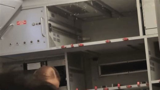 Swarm of Flying Bugs Invades Plane Before Takeoff