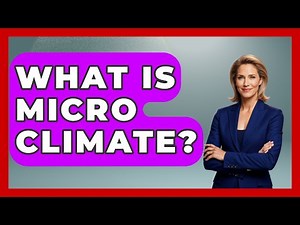 What Is Micro Climate? - Weather Watchdog