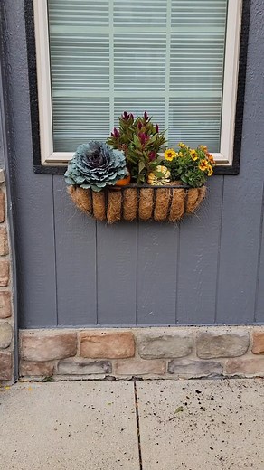 Mallory sprucing up window boxes at Gibby's! #windowboxes #planters #plants #fall #4u