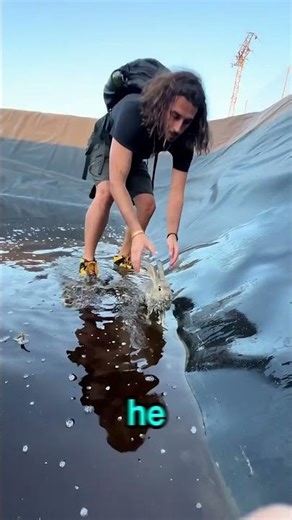 This man was walking by a ditch and what he did is absolutly heartwarming