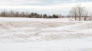 How February nearly saved winter in Colorado
