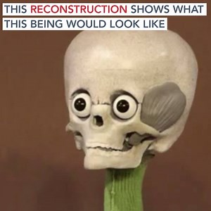 This bizarre skull is definitely not human. So what is it? WATCH NOW: http://ow.ly/biMG30a3NC0 | Unexplained on Gaia