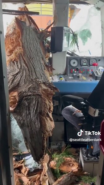 Amtrak Train Collision Aftermath During Bomb Cyclone