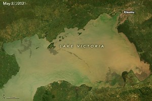 Lake Victoria’s Rising Waters Months of intense rain have swollen Africa’s largest lake to the highest levels observed in decades. The rising waters around Lake Victoria led government agencies to issue alerts to lakeshore communities during the region’s long rainy season (March to June). Floodwaters swamped farmland, inundated homes, and displaced tens of thousands of people. The pair of natural-color satellite images offer a view of the changing conditions in Winam Gulf, a shallow northeastern