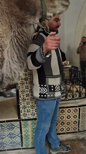 well and camel in kairouan natural spring