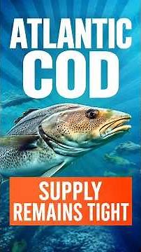 Atlantic Cod Quota Hits 35-Year Low as Global Supply Shrinks - #3MMI