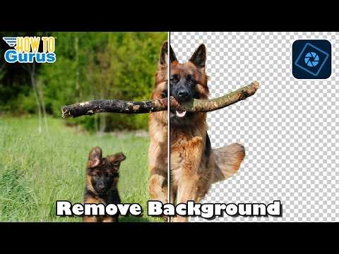 🖼️ Photoshop Elements Remove Background Like a Pro