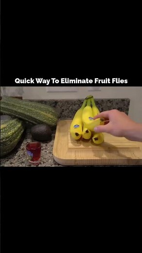 1 Simple Trick to Remove Fruit Flies Instantly😱#fruitflies #kitchenhacks #pestcontrol #cleaningtips