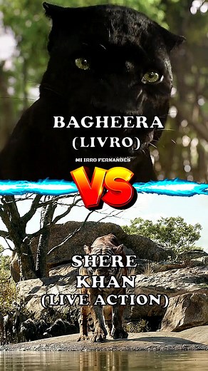 Bagheera vs Shere Khan: Epic Panther Battle