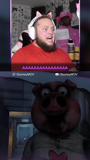 StanleyMOV on TikTok